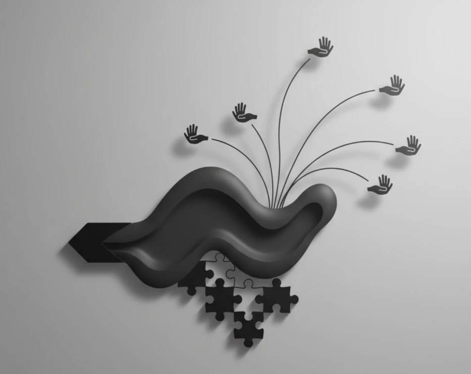 Custom website development services showing responsive web application interface