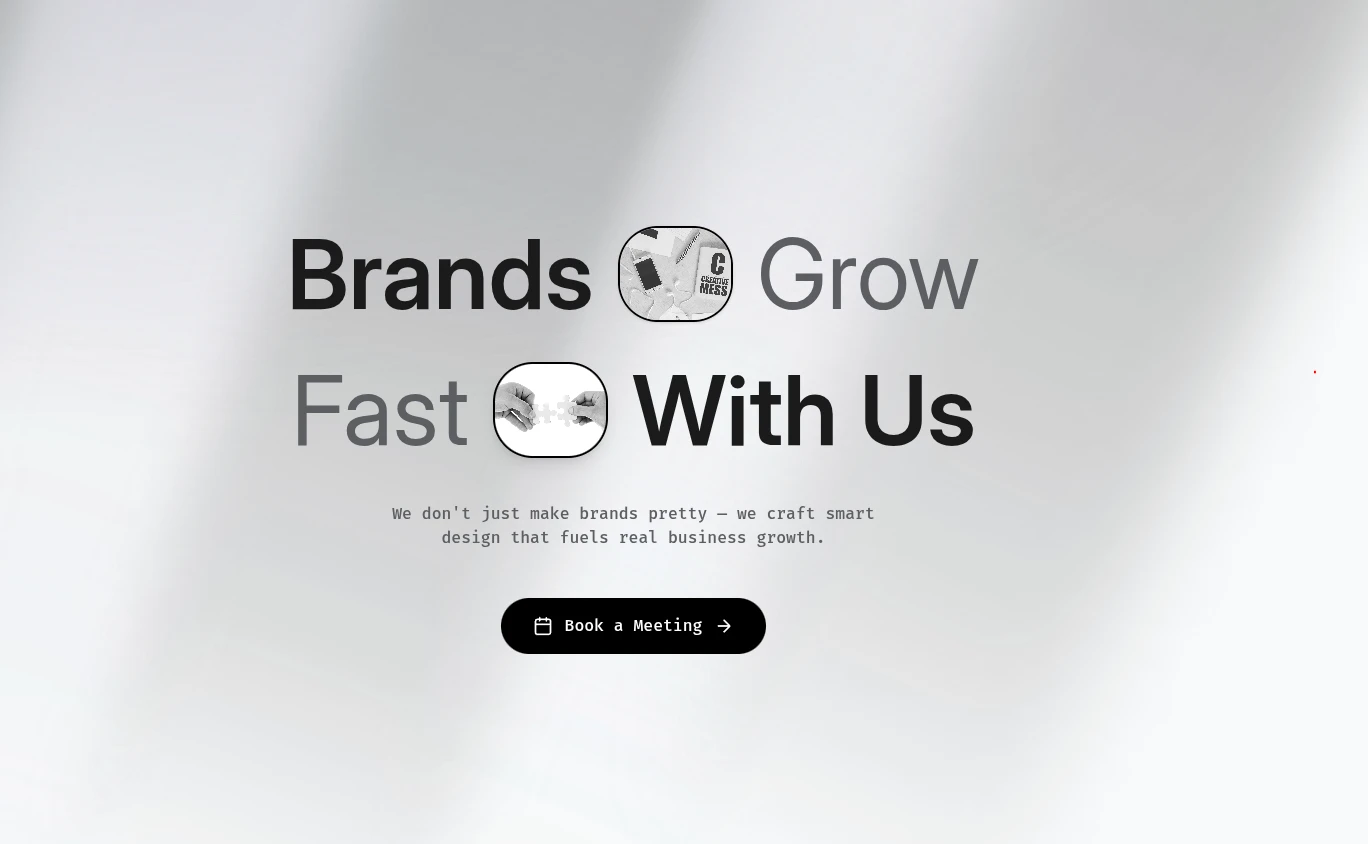 Concept for Brand Growth Platform showing branding and design showcase
